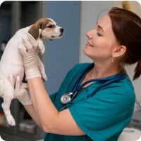 Csapat Katona Ramóna